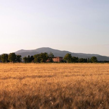 Agriturismo Il Pescinone Вентурина-Терме Екстер'єр фото