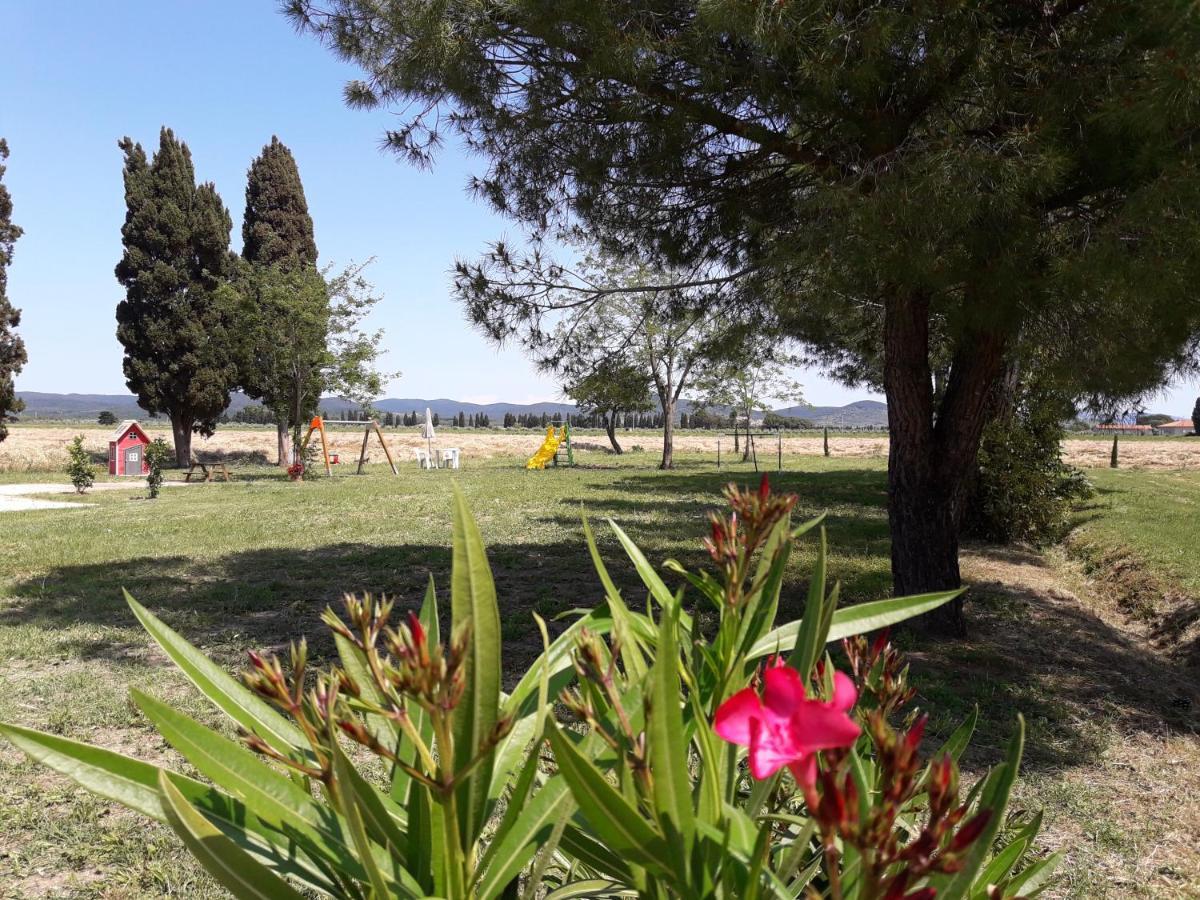 Agriturismo Il Pescinone Вентурина-Терме Екстер'єр фото