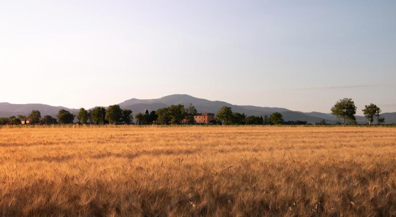 Agriturismo Il Pescinone Вентурина-Терме Екстер'єр фото